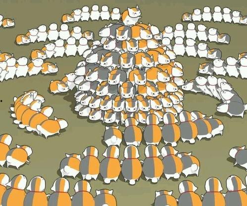 入娇账,揭秘企业盈利之道”